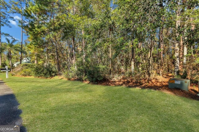 0 Riverpoint Ln, Townsend, GA 31331