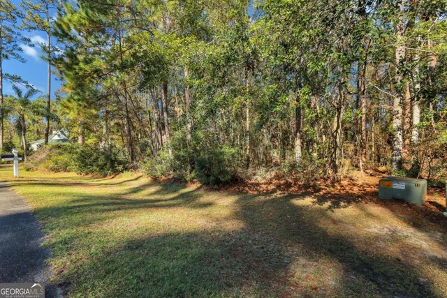 0 Riverpoint Ln, Townsend, GA 31331