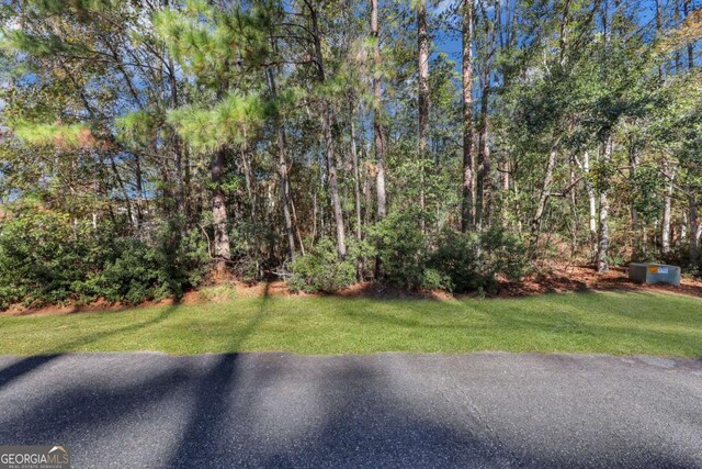 0 Riverpoint Ln, Townsend, GA 31331