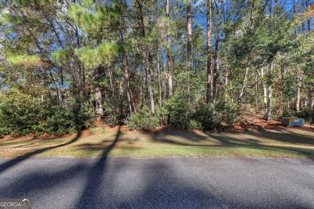 0 Riverpoint Ln, Townsend, GA 31331