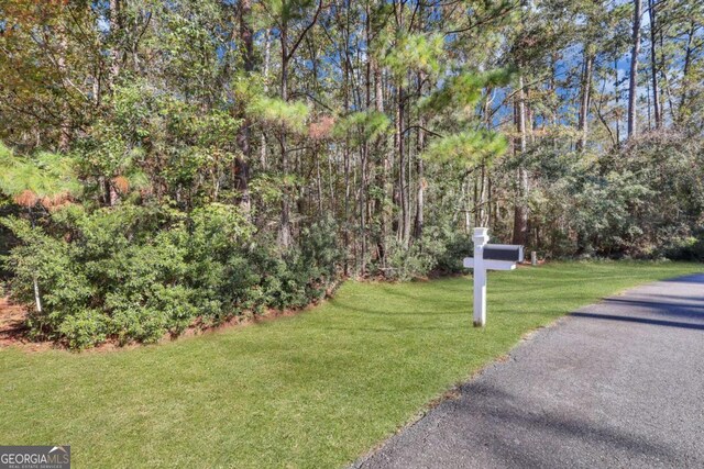 0 Riverpoint Ln, Townsend, GA 31331