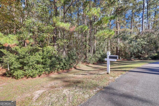 0 Riverpoint Ln, Townsend, GA 31331