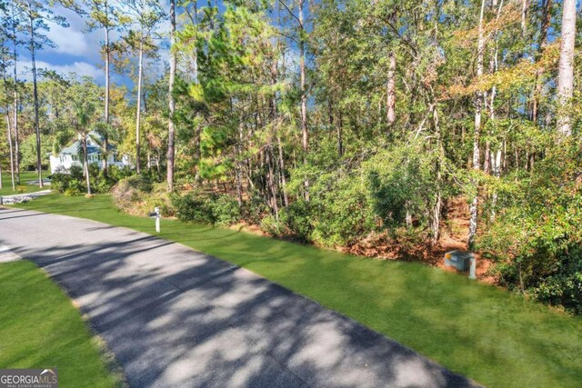 0 Riverpoint Ln, Townsend, GA 31331