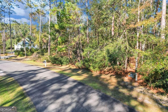 0 Riverpoint Ln, Townsend, GA 31331