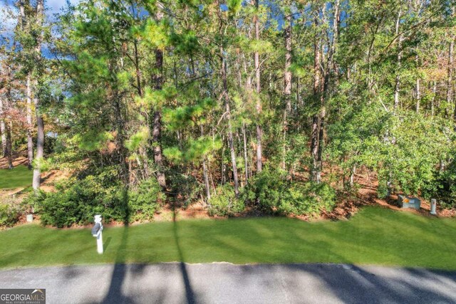 0 Riverpoint Ln, Townsend, GA 31331