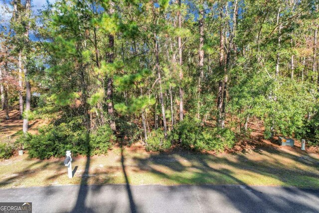0 Riverpoint Ln, Townsend, GA 31331