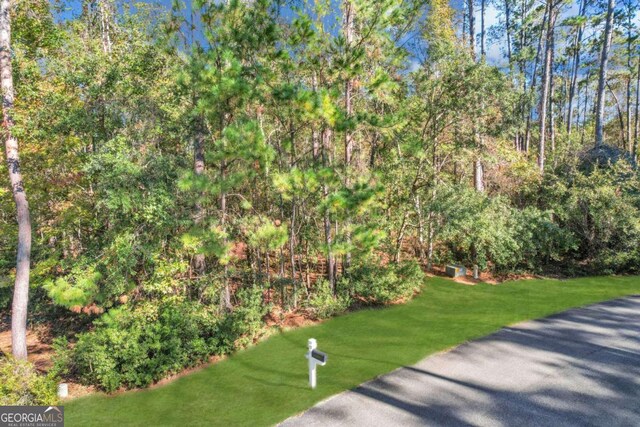 0 Riverpoint Ln, Townsend, GA 31331