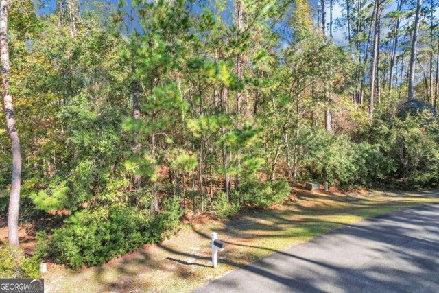 0 Riverpoint Ln, Townsend, GA 31331