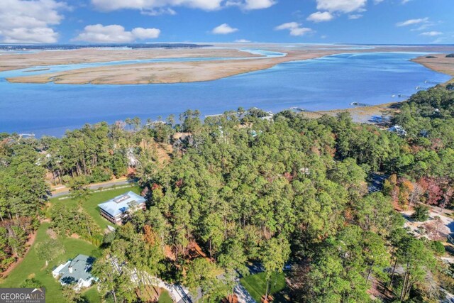0 Riverpoint Ln, Townsend, GA 31331