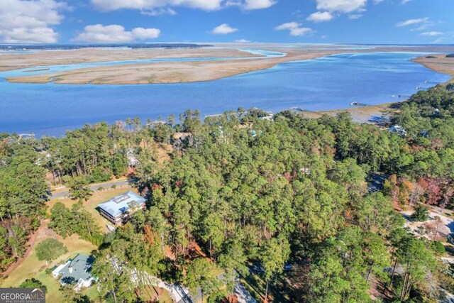 0 Riverpoint Ln, Townsend, GA 31331