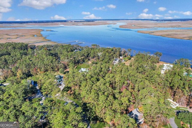 0 Riverpoint Ln, Townsend, GA 31331