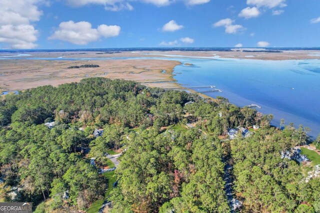 0 Riverpoint Ln, Townsend, GA 31331