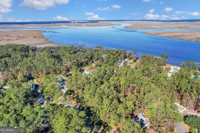 0 Riverpoint Ln, Townsend, GA 31331
