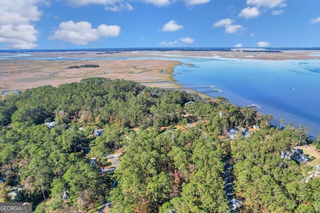0 Riverpoint Ln, Townsend, GA 31331