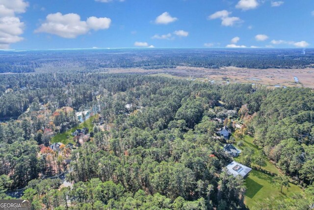 0 Riverpoint Ln, Townsend, GA 31331