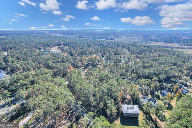 0 Riverpoint Ln, Townsend, GA 31331
