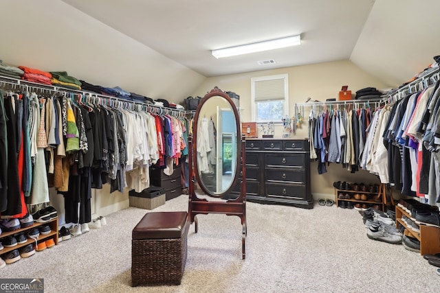121 Ridge View Dr, Ball Ground, GA 30107 - walk in closet featuring lofted ceiling and carpet