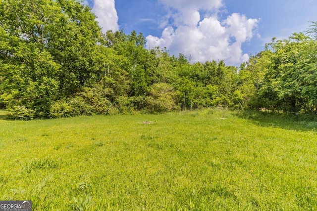 67 Jennifer Ln, Rydal, GA 30171 - view of yard featuring a forest view