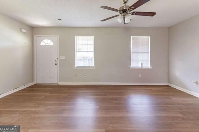 67 Jennifer Ln, Rydal, GA 30171 - foyer featuring plenty of natural light, wood finished floors, and ceiling fan