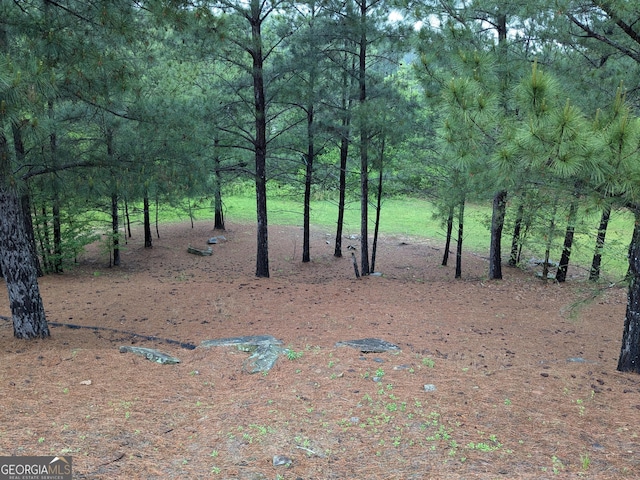 1202 Shiva Blvd, Winder, GA 30680 - view of undeveloped land
