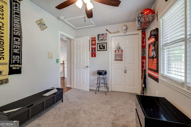 interior space featuring carpet floors and a ceiling fan