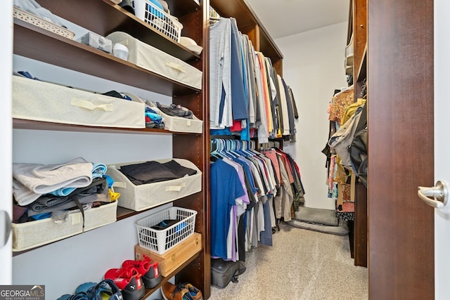 spacious closet featuring carpet floors