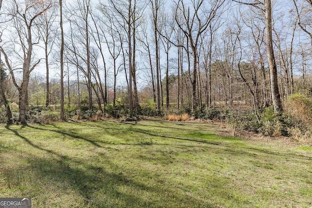 view of yard with a wooded view