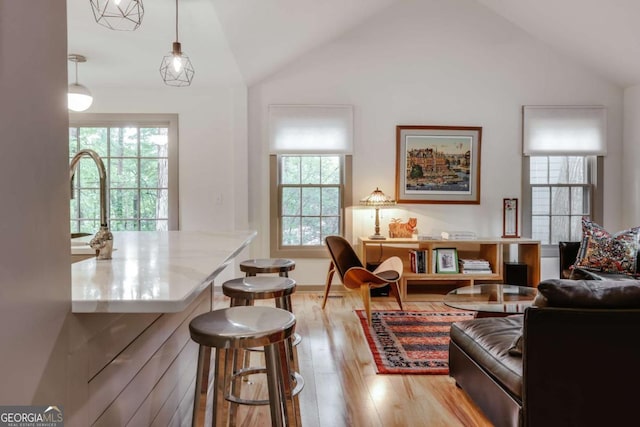living room with light wood-type flooring and lofted ceiling