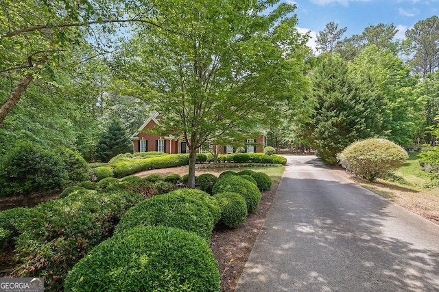 4810 Duncans Lake Dr, Buford, GA 30519 - view of obstructed view of property