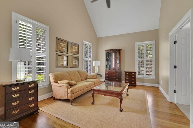 4810 Duncans Lake Dr, Buford, GA 30519 - living area with wood finished floors, baseboards, and high vaulted ceiling