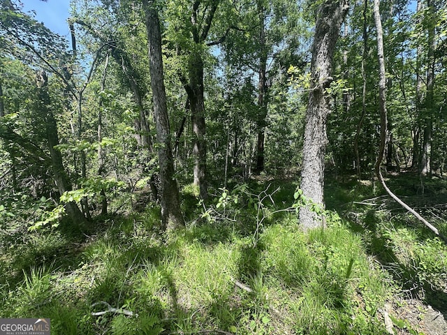 view of nature