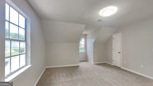 5326 Nader Pl, Stone Mountain, GA 30088 - additional living space with baseboards, vaulted ceiling, carpet flooring, and a textured ceiling