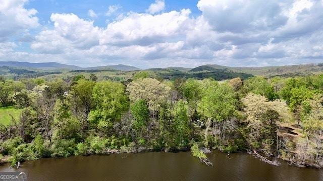 189 Caseys Trl, Lafayette, GA 30728