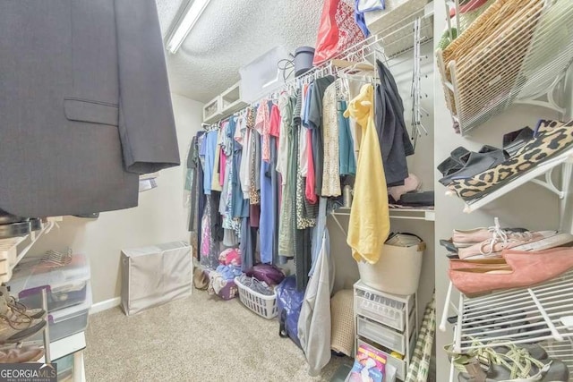 spacious closet featuring carpet floors
