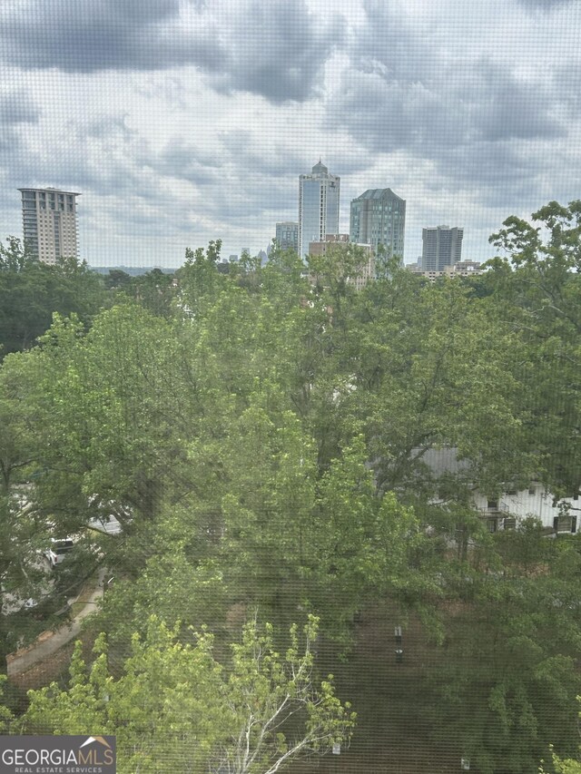 3060 Pharr Ct N Unit 607, Atlanta, GA 30305 - property's view of city