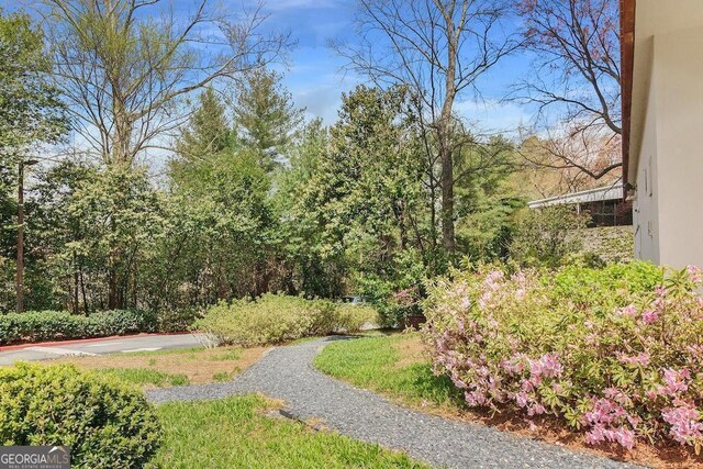 3060 Pharr Ct N Unit 607, Atlanta, GA 30305 - view of yard
