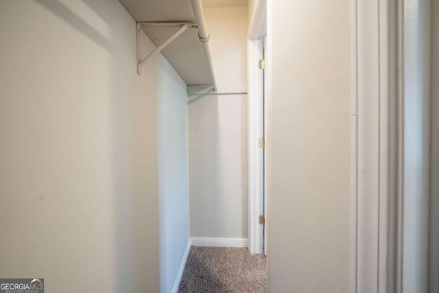 2132 Sara Ashley Way, Lithonia, GA 30058 - walk in closet featuring carpet