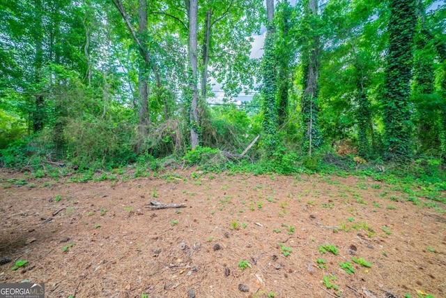 2132 Sara Ashley Way, Lithonia, GA 30058 - view of undeveloped land