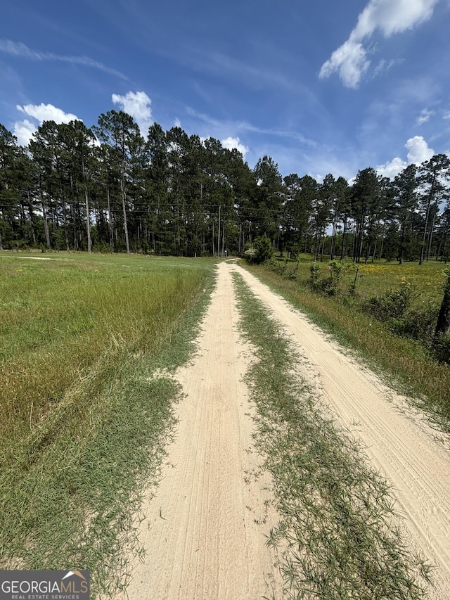 0 Briar Patch Way, Reynolds, GA 31076