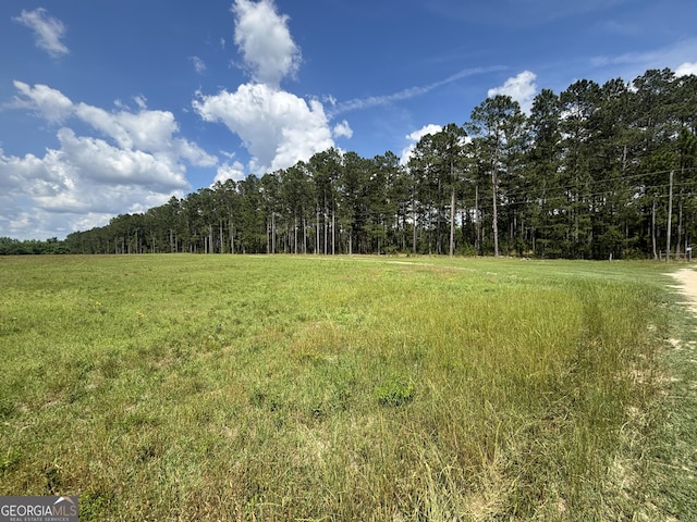 0 Briar Patch Way, Reynolds, GA 31076