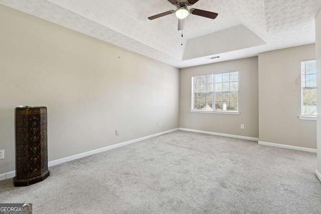 360 Wynbrook Dr, Mcdonough, GA 30253 - empty room with visible vents, a raised ceiling, a textured ceiling, and carpet floors