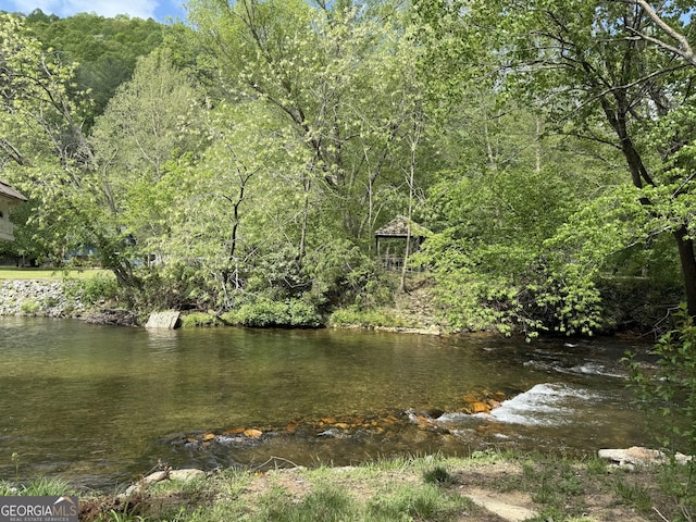view of water feature with a view of trees