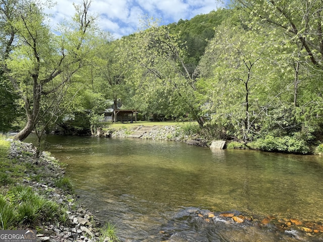 view of water feature featuring a wooded view