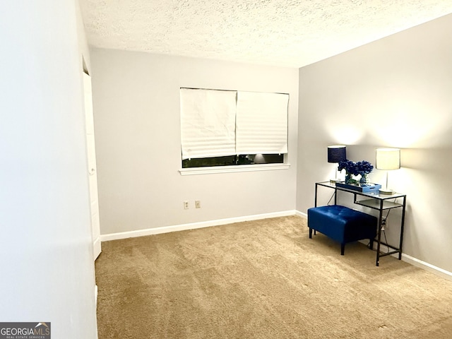 sitting room featuring baseboards, carpet flooring, and a textured ceiling