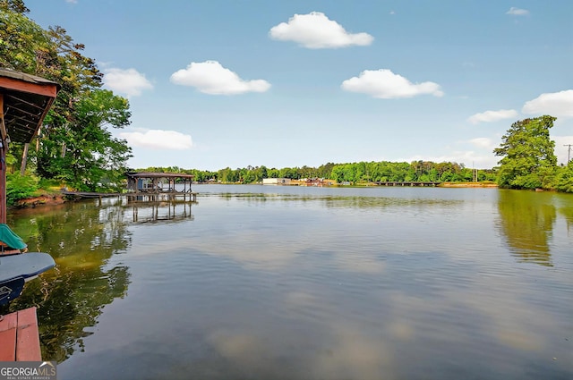 100 Tanglewood Rd, Eatonton, GA 31024 - water view