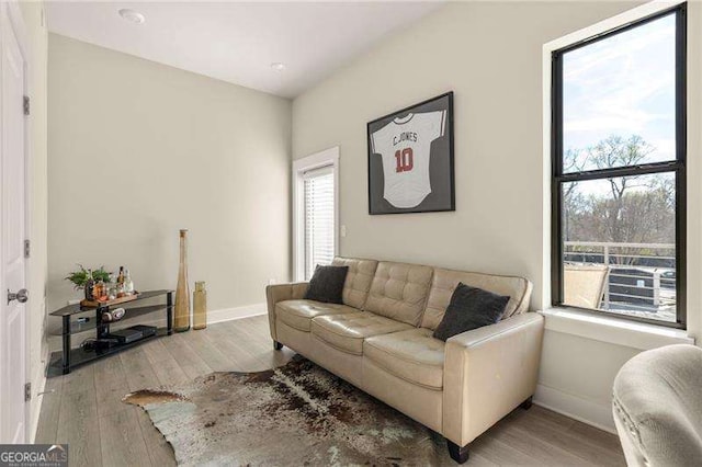 living room with baseboards and wood finished floors