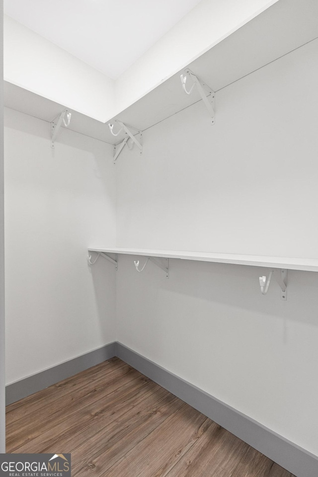 walk in closet featuring wood finished floors