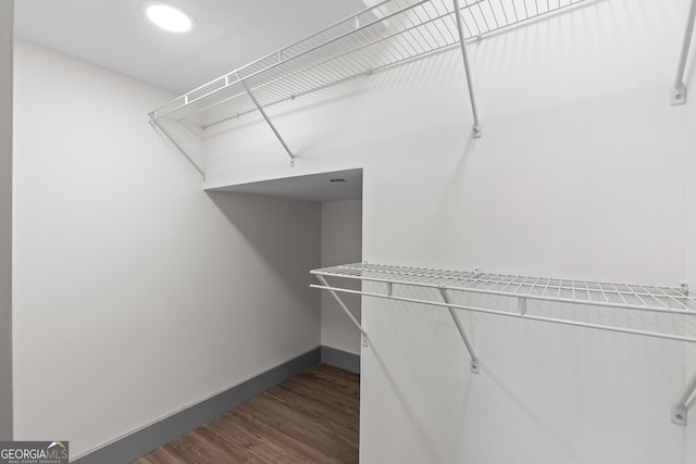 walk in closet featuring dark wood finished floors