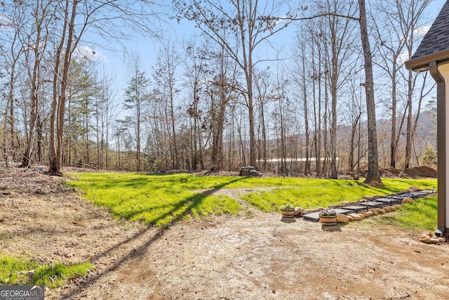 1145 Daniels Rd, Trenton, GA 30752 - view of yard