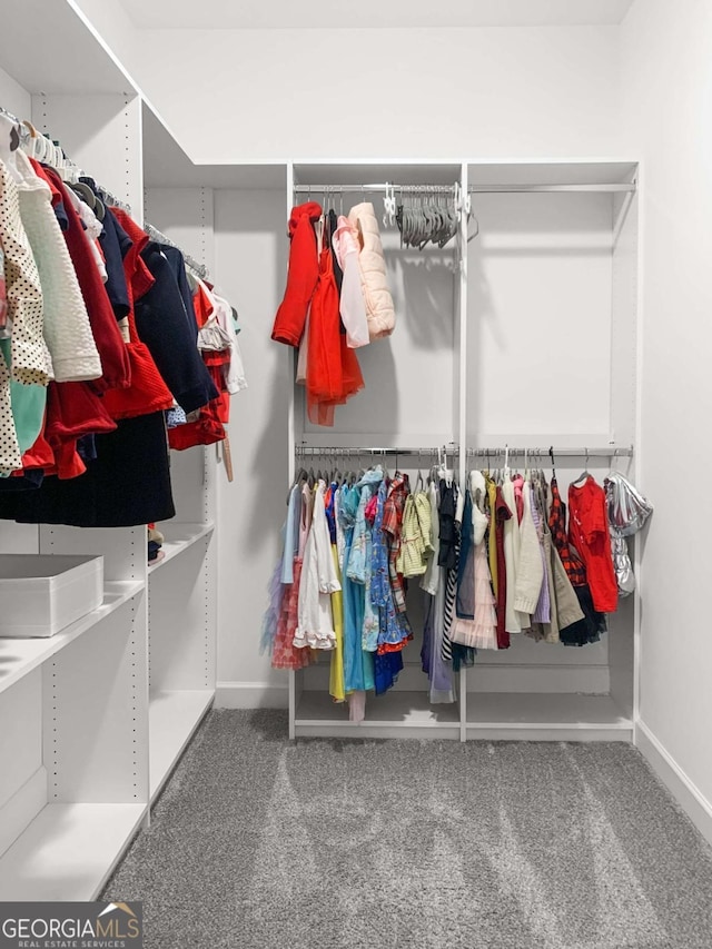 walk in closet with carpet